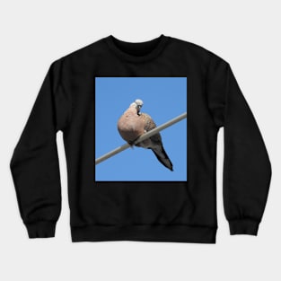 Spotted Turtledove on an aerial Crewneck Sweatshirt